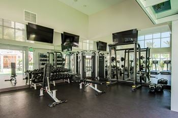 Free weights area
